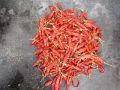 Indian Dried Red Chillies Sannam 334