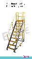 Heavy Duty Platform Trolley Ladder