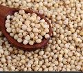 Pure Quinoa Seeds