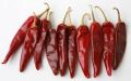 dry red chilli