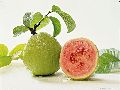 Korean Guava
