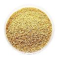 Indian Foxtail Millet