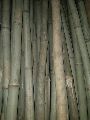 Medium size bamboo poles