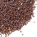 Brown Mustard Seeds