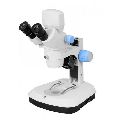 New fluorescence stereo microscope