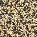 Sortex Sesame Seeds