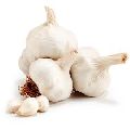 Natural Garlic