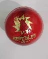 20 to 25 Over Red Leather Cricket Ball