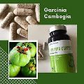 Garcinia Cambogia weight loss product