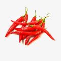 Spicy Red Chilli