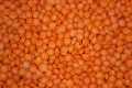 Red Lentil