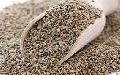 Natural Carom Seeds