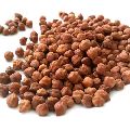 Brown Chana