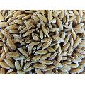 Natural Paddy Seeds