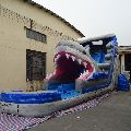 5006317- Inflatable Amusement Park Large Adult Inflatable Shark Water Slides for Kids