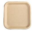 9 Inch Biodegradables Disposable Plate