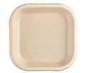 7 Inch Biodegradables Disposable Plate