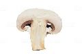 mushroom slice