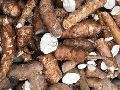 Organic Cassava