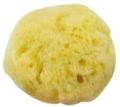 Natural Cosmetic Sea Sponge