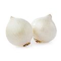 Oval Round Organic Fresh White Onion
