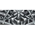 Stainless Steel Nut and Bolts