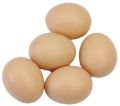 Brown desi chicken eggs