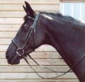 HB 20010078 Horse Leather Bridle