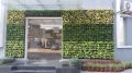 vertical green wall garden