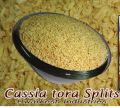 Cassia Tora Gum Splits
