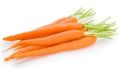 Fresh Carrot