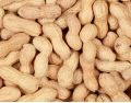 raw shelled peanuts