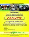 YELLOWISH ORGI VETE animal feed supplement