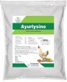 Ayurlysine Powder