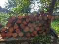 Round Red Natural Grains Non Polished CR Traders teak wood logs