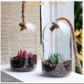 Hole Hanging Borosilicate Glass Planter