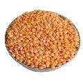 masoor dal