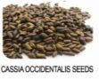 cassia occidentaus seeds