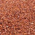 Red Quinoa Seeds