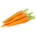 Organic Red Fresh Carrot