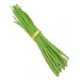Organic Green fresh drumsticks