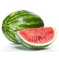 Organic Dark Green fresh watermelon