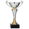 Sports Cup Trophy