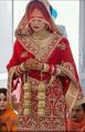 Multicolors Bridal Punjabi Suit
