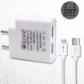 Elove 2.1 Amp USB Charger