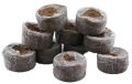 Cocopeat Seed Plugs