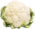 Organic Cauliflower