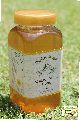 Acacia Golden Honey