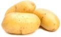 Oval Round Organic fresh raw potato