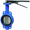 Butterfly Valve Rubber Lining